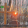 User_10765