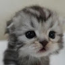 User_10940