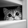 User_11387