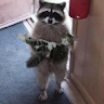 User_11391