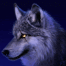 User_11780