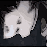User_3002