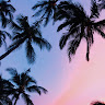 User_3049