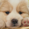 User_3211