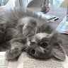 User_4972