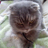 User_5283