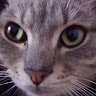 User_5385