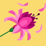 User_5428
