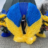 User_6865