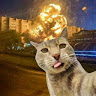 User_7884