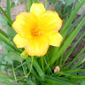 User_8508