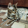 User_8896