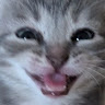 User_9729