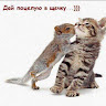 User_9940