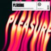 Portada HAWK - Pleasure (feat. Azooland) HAWK - Pleasure (feat. Azooland)