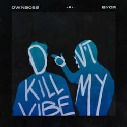 Portada Ownboss - Don't Kill My Vibe (feat. BYOR)