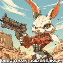 Portada Acid Breaks 14 [2024]