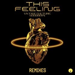 Portada Vintage Culture feat. Goodboys - This Feeling (Velvet Mode And Chris Arna Remix)