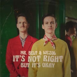 Portada Mr. Belt & Wezol - It's Not Right (But It's Ok)