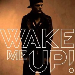 Portada Avicii feat. Aloe Blacc - Wake Me Up