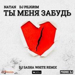 Portada Natan & DJ Piligrim - Ты Меня Забудь