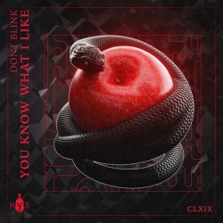 Portada Dont Blink - YOU KNOW WHAT I LIKE