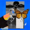 Portada Green Velvet & Jamie Jones - Butterflies Green Velvet & Jamie Jones - Butterflies