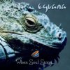 Portada Eguana - In The Forest Eguana - In The Forest