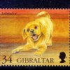Portada Вячеслав Бутусов - Гибралтар-лабрадор Вячеслав Бутусов - Гибралтар-лабрадор