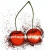Portada Garbage - Androgyny Garbage - Androgyny