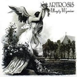 Portada Artrosis - Lisa