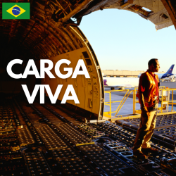 Portada Carga Viva - Maquillaje