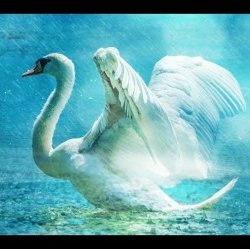 Portada Lacross - Save Me (Swan Lake)