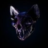 Portada Darci - Wild Horse Darci - Wild Horse