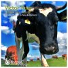 Portada Victor Ruiz - I Look Into You Victor Ruiz - I Look Into You