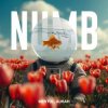 Portada Linkin Park - Numb (Mentol Remix) Aurah Cover Linkin Park - Numb (Mentol Remix) Aurah Cover