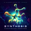 Portada Synthesis - The Battle Synthesis - The Battle