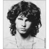 Portada The Doors - Wild Child The Doors - Wild Child