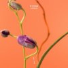 Portada MYRNE - Time (Something To You) MYRNE - Time (Something To You)