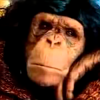 Portada Алексин - Ну Что Ж Ты Страшная Такая Алексин - Ну Что Ж Ты Страшная Такая