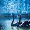 Portada Ataraxia - Llyr Ataraxia - Llyr