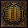 Portada Bring Me The Horizon - Can You Feel My Heart Bring Me The Horizon - Can You Feel My Heart