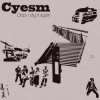 Portada Cyesm - Our Leaders Cyesm - Our Leaders