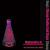 Portada Malandra Jr - Infinity Malandra Jr - Infinity