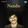Portada Nandu - Forever In Our Favor Nandu - Forever In Our Favor