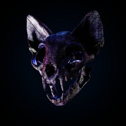 Portada Darci - Wild Horse
