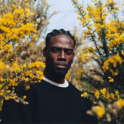 Portada Lil Silva - Drumatic