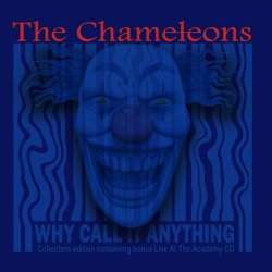 Portada The Chameleons - Indiana