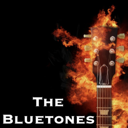 Portada The Bluetones - String Along