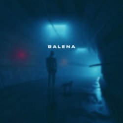 Portada skyfall beats - balena